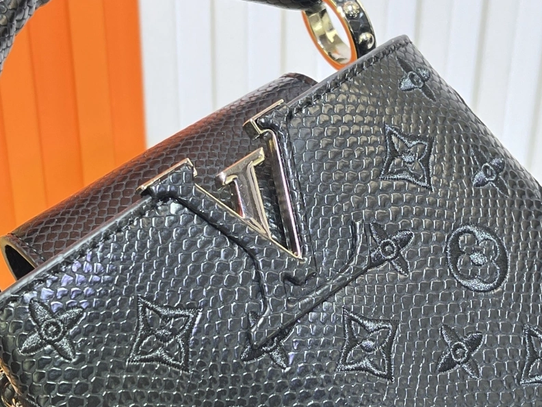 Fashionable LX Caxucines Bags 23352