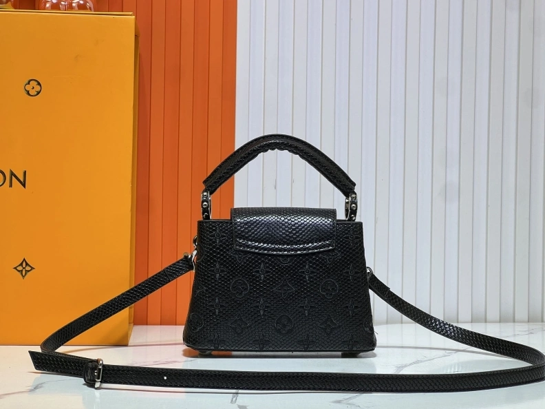 Fashionable LX Caxucines Bags 23352