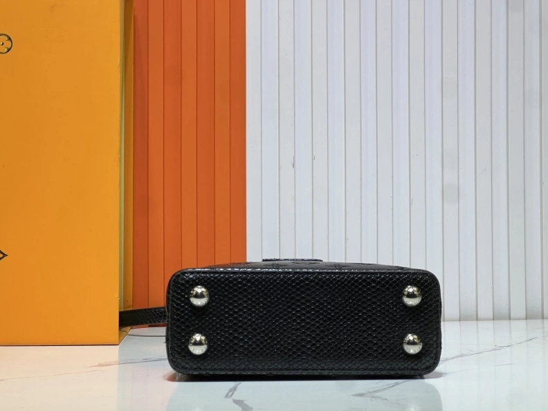 Fashionable LX Caxucines Bags 23352