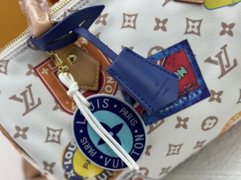 DailyWear LX Speedy Bags 22944