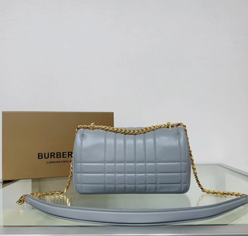 Bxrbxrry Satchel Bags Efficient 74947