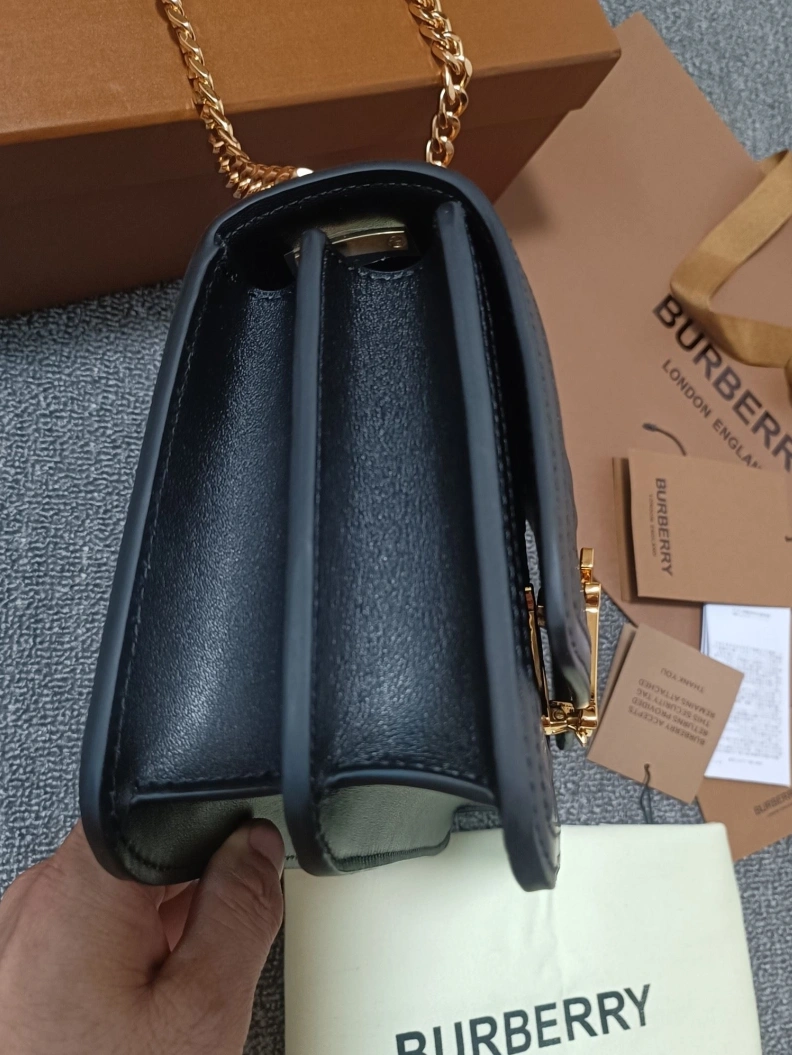 DailyWear Bxrbxrry Satchel Bags 74883