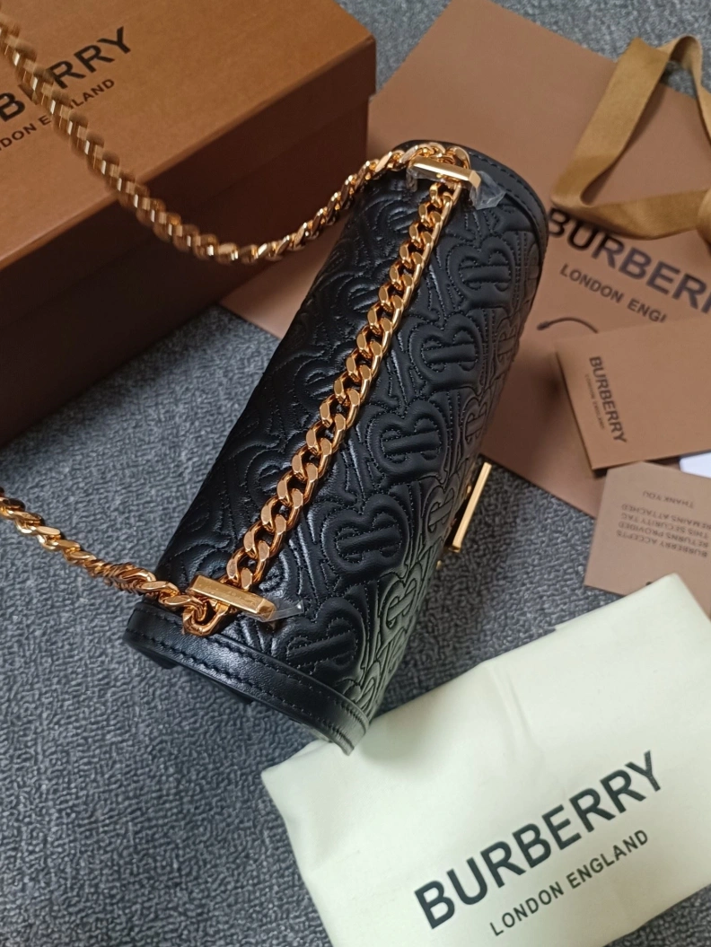 DailyWear Bxrbxrry Satchel Bags 74883