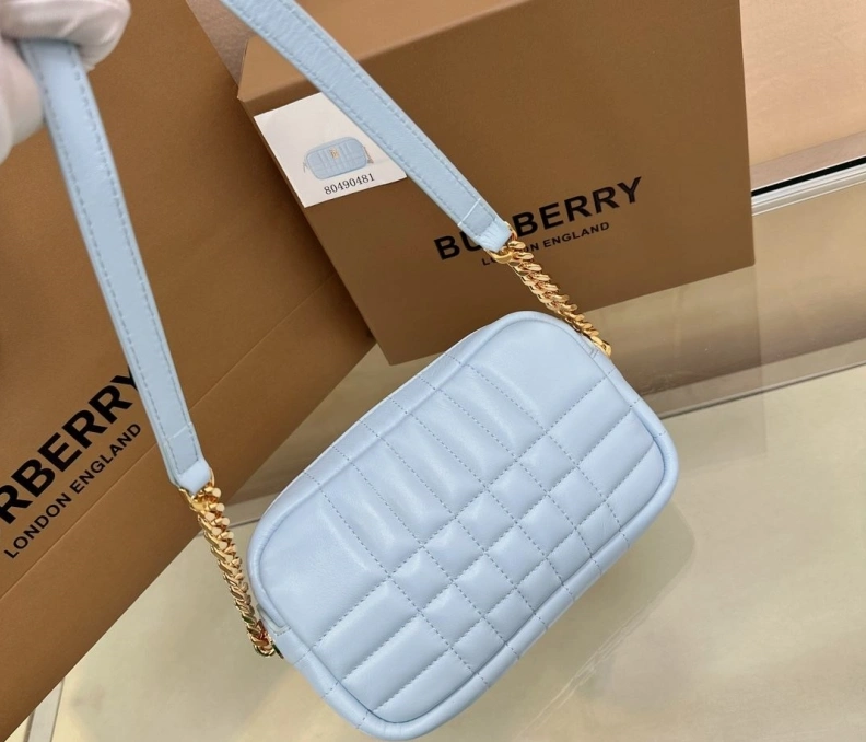 Practical Bxrbxrry Satchel Bags 74842