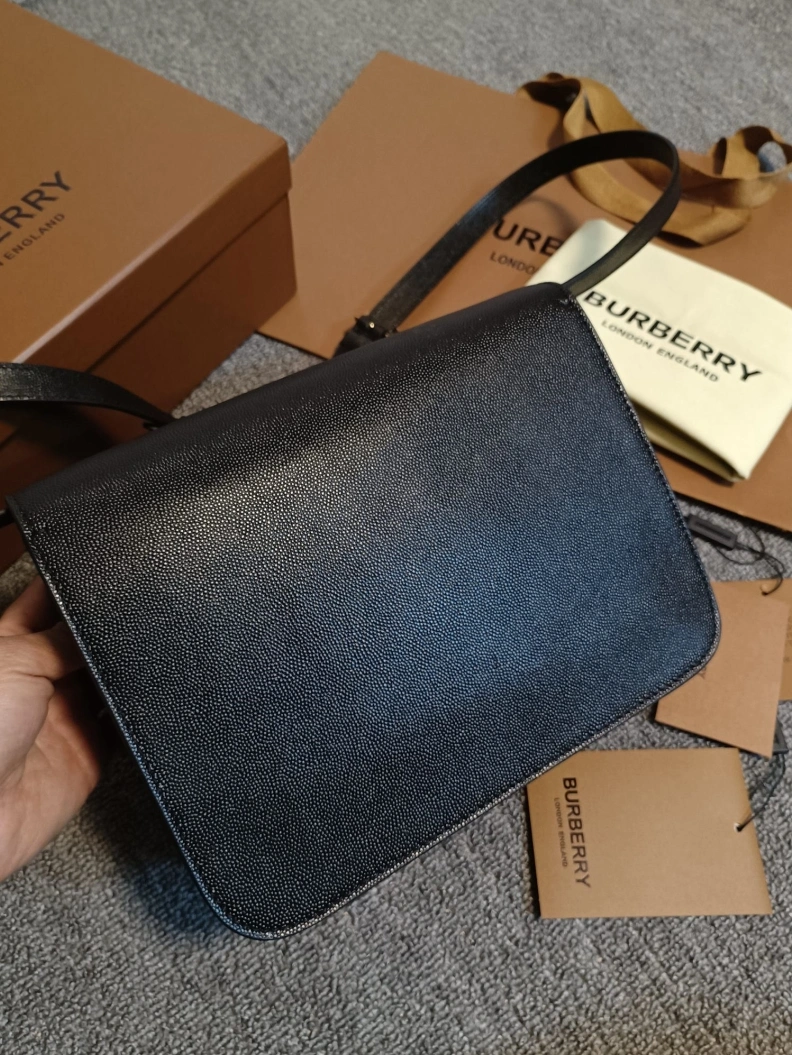 Trendsetting Bxrbxrry Satchel Bags 74778