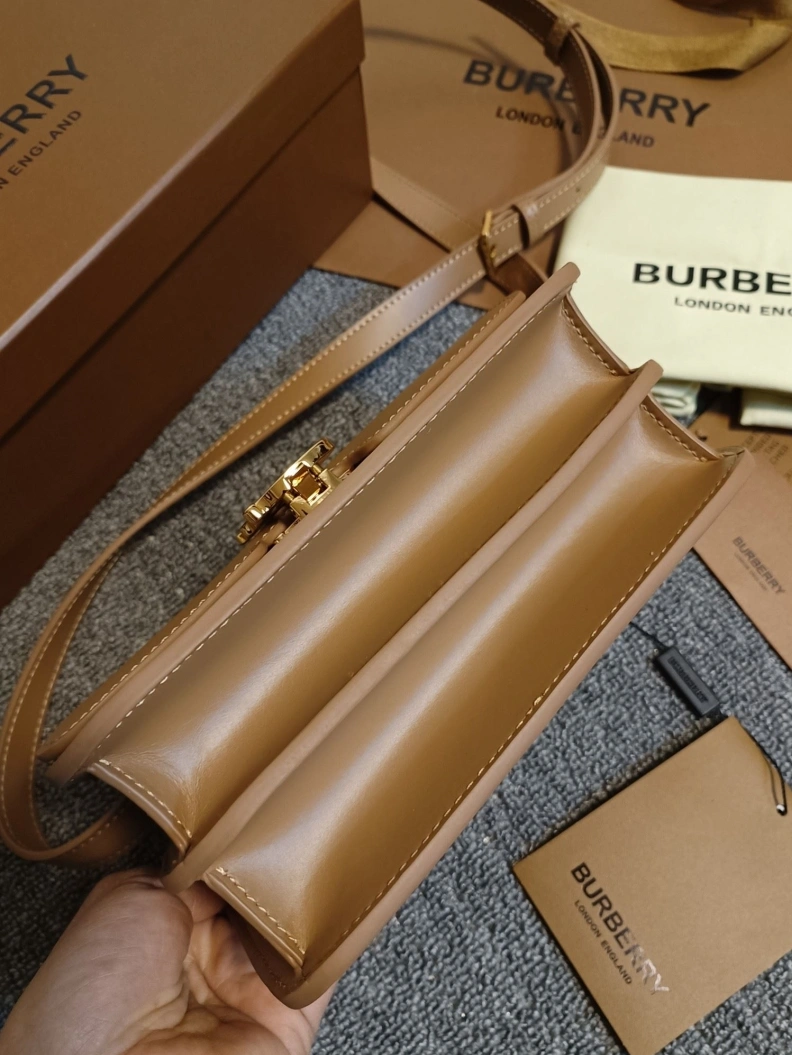Trendsetting Bxrbxrry Satchel Bags 74786