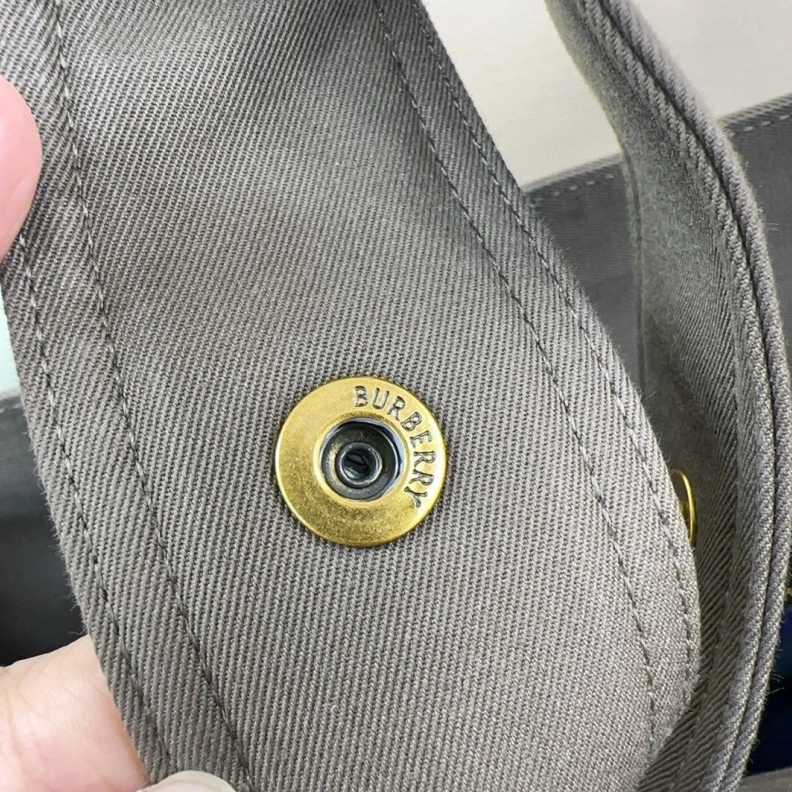 Bxrbxrry Satchel Bags Unique 74209