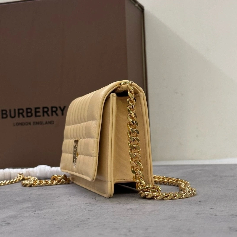 Trendsetting Bxrbxrry Waist & Chest Packs 75770