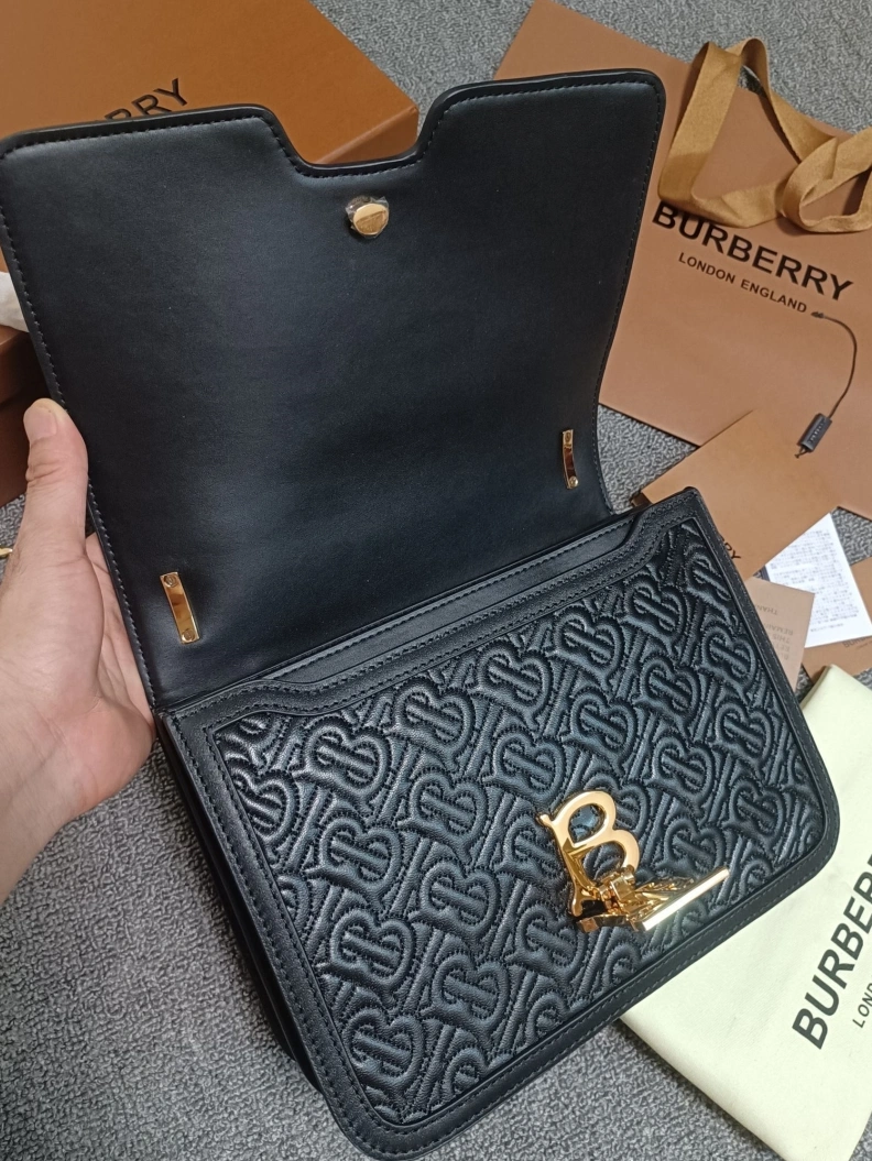 BestValue Bxrbxrry Satchel Bags 75550