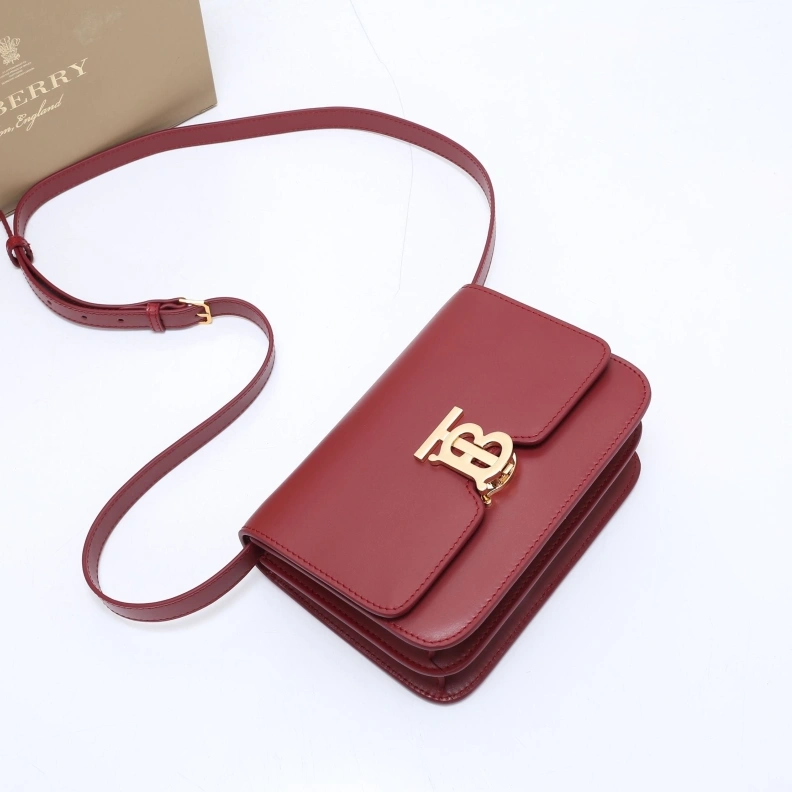 EyeCatching Bxrbxrry Satchel Bags 75523