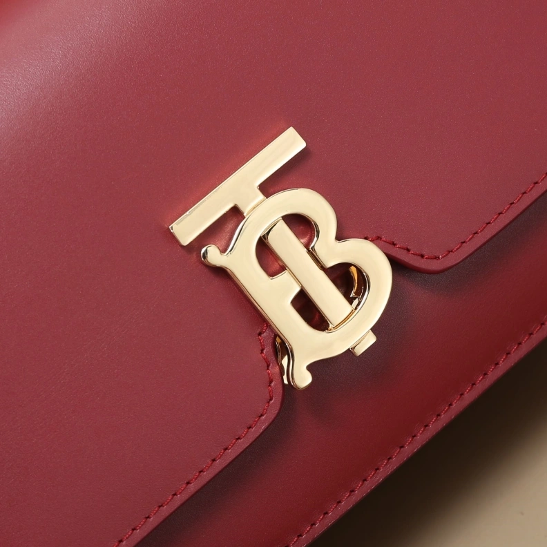 EyeCatching Bxrbxrry Satchel Bags 75523