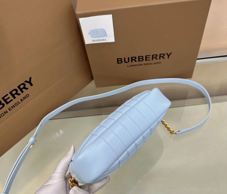 Fashionable Bxrbxrry Satchel Bags 75437