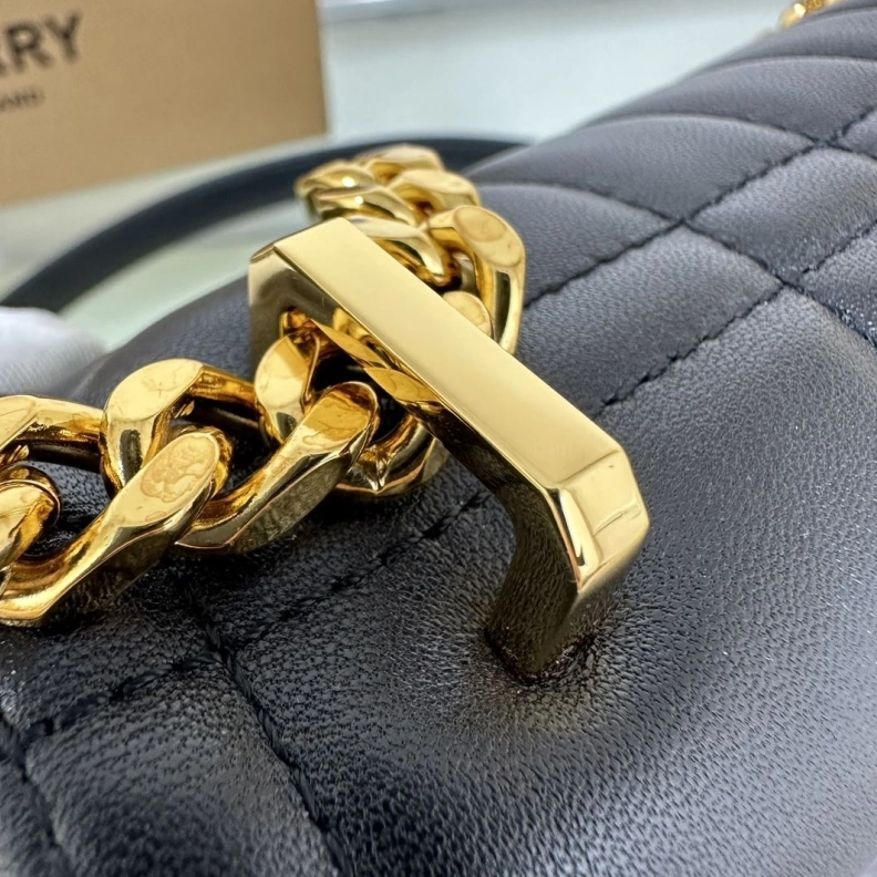 Bxrbxrry Satchel Bags DailyWear 75423