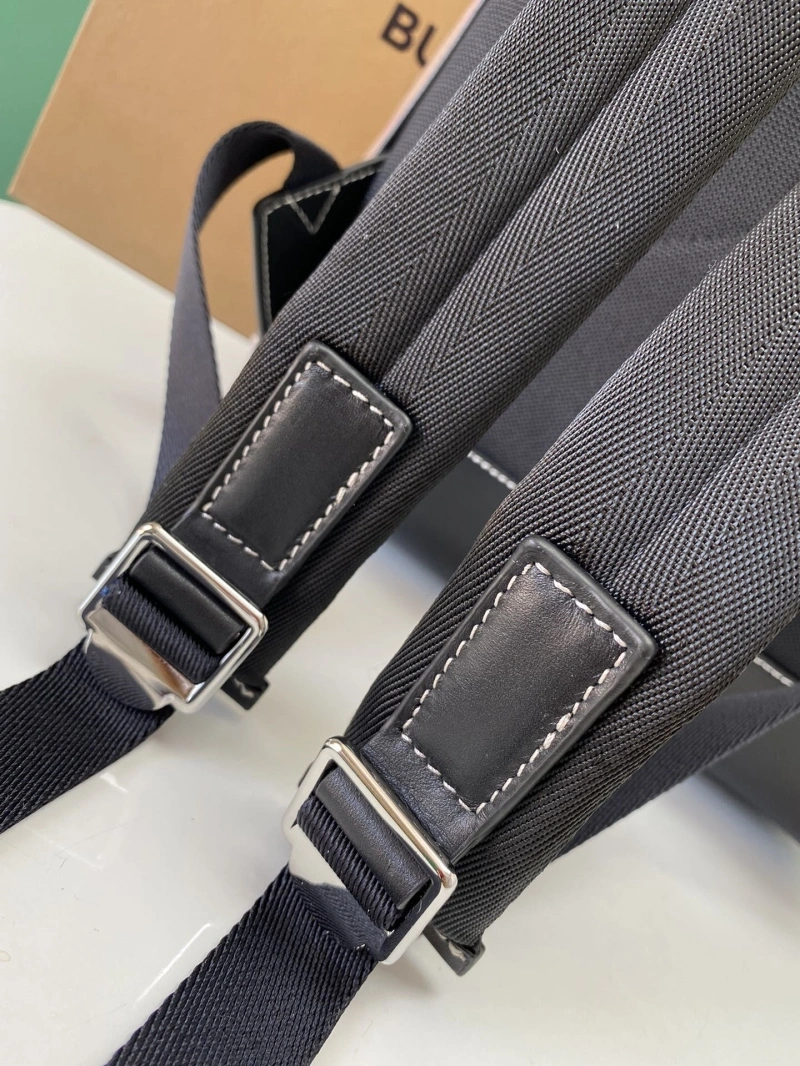 Sophisticated Bxrbxrry Backpacks 75230