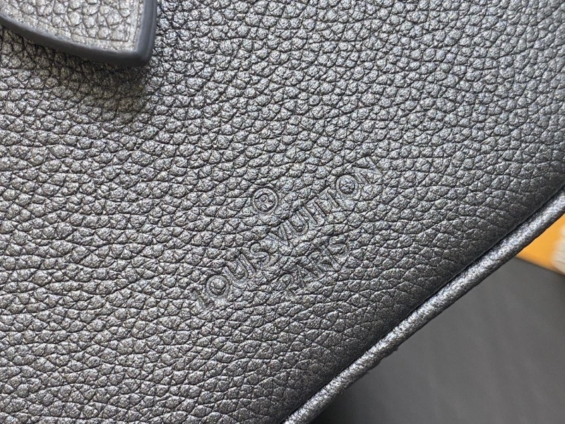 GoAnywhere LX Speedy Bags 2260