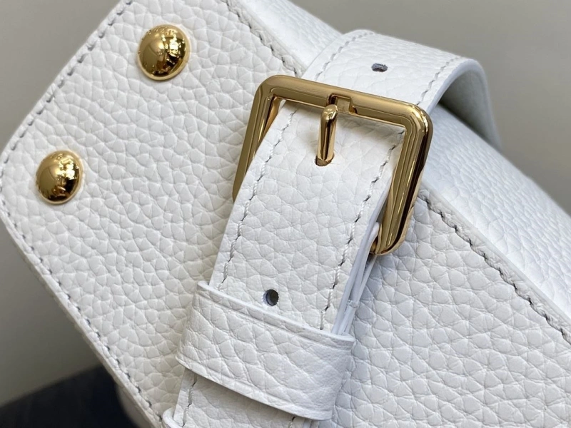 Stylish LX Caxucines Bags 4954