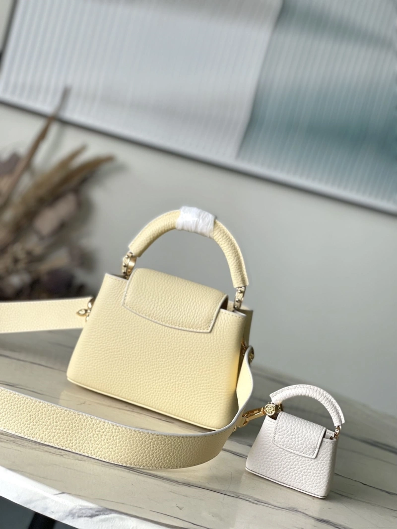 Fashionable LX Caxucines Bags 4920