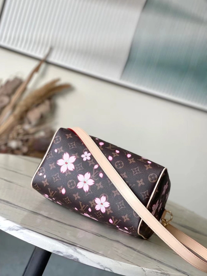 Classic LX Speedy Bags 119