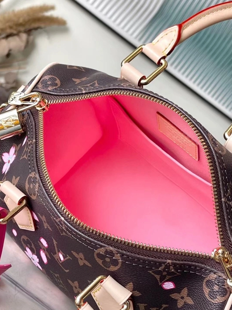 Classic LX Speedy Bags 119