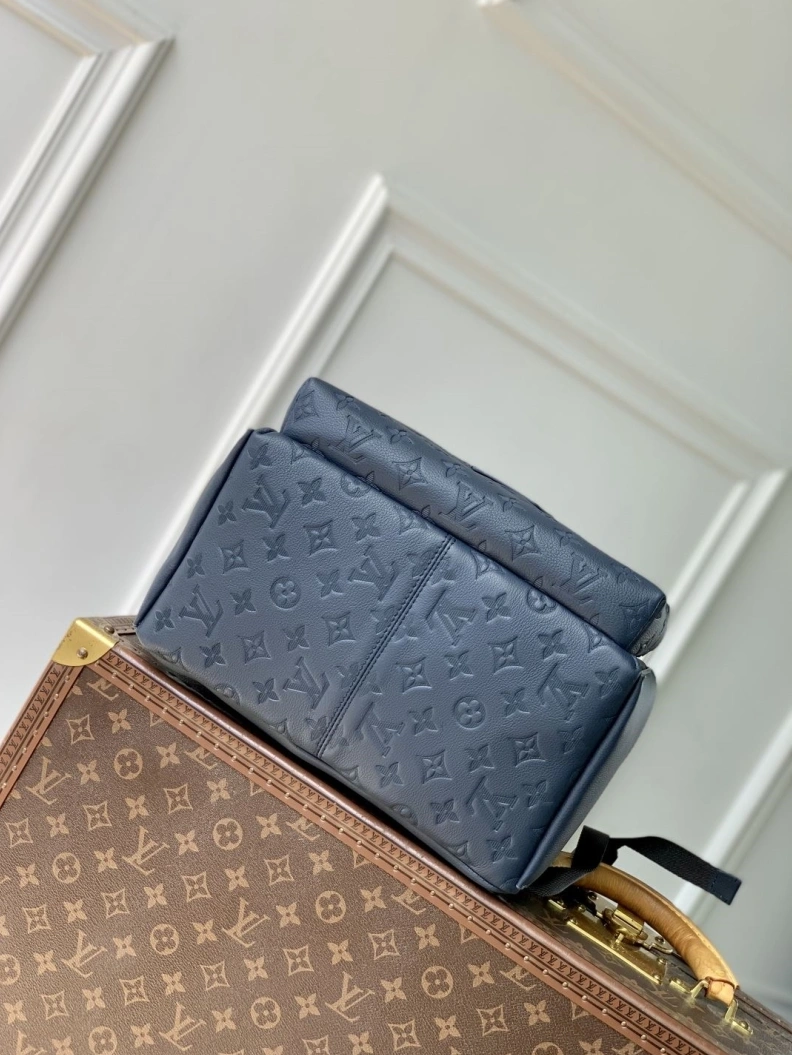 Stylish LX Backpacks 184