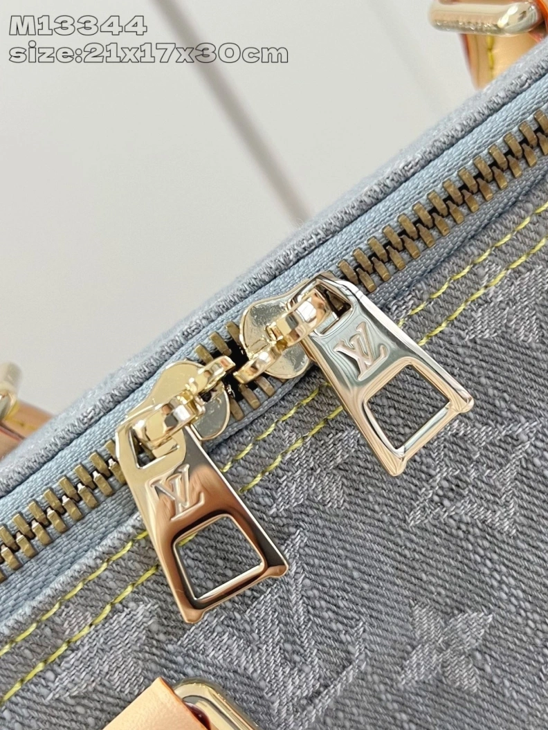 Resilient LX Speedy Bags 113