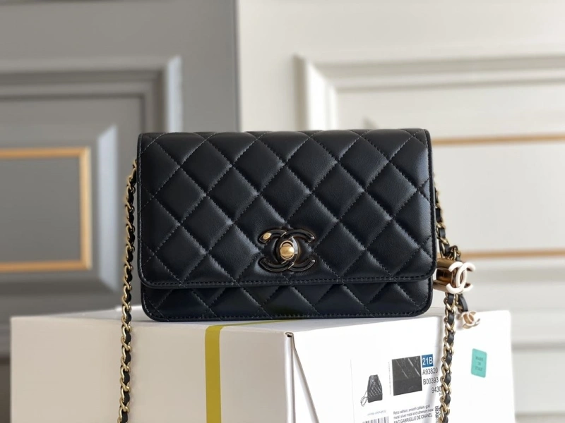 Chxnxl Leboy Series Bags EyeCatching 28804