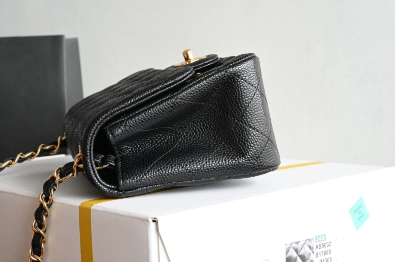 Compact Chxnxl CF Series Bags 25829