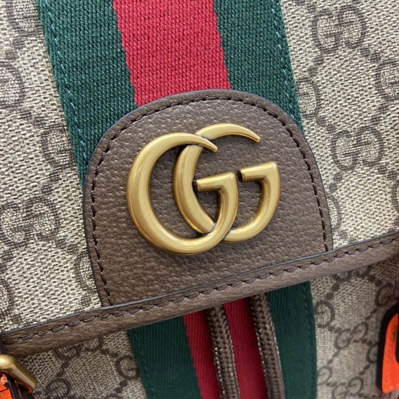 Fashionable Gxccx Backpacks 45287