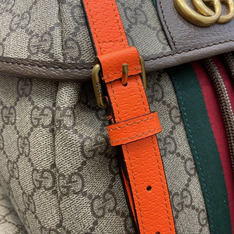 Fashionable Gxccx Backpacks 45287