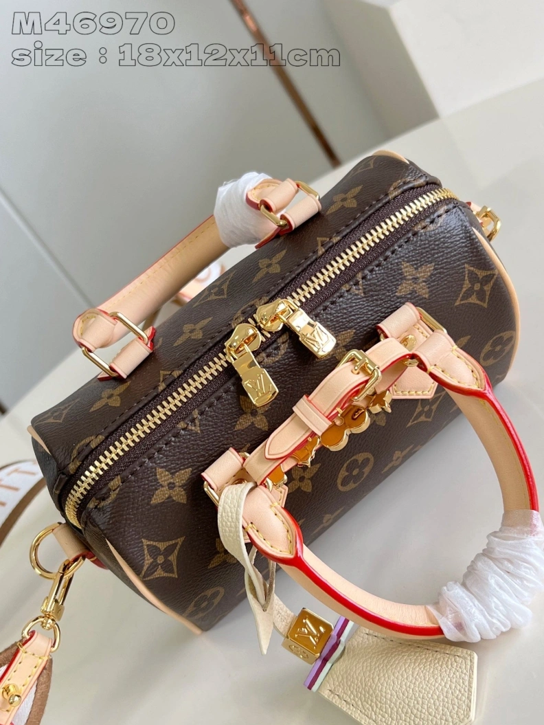 LX Speedy Bags Classic 2734