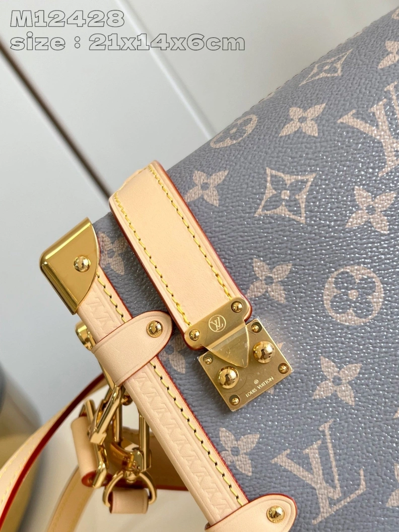 Fashionable LX Box Bags 2965