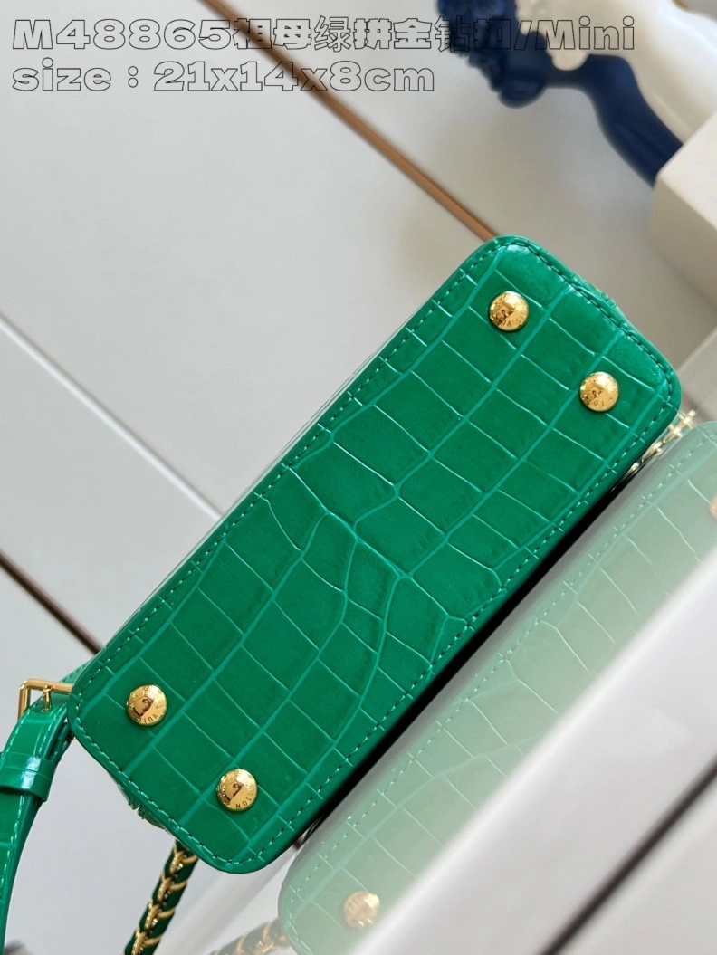 LX Caxucines Bags EyeCatching 2960