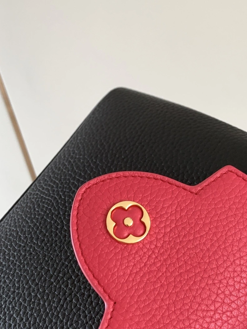 LX Caxucines Bags BestValue 2904