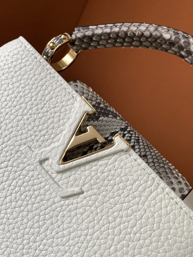 Popular LX Caxucines Bags 2910