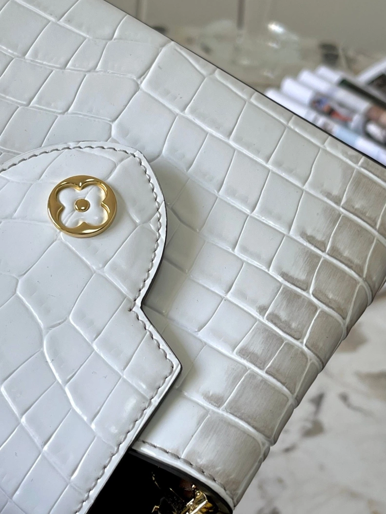 DailyWear LX Caxucines Bags 2872