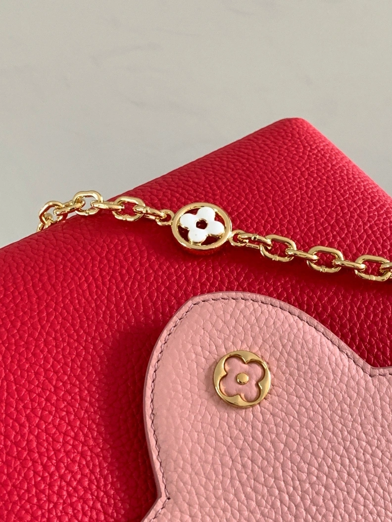 LX Caxucines Bags Fashionable 2880