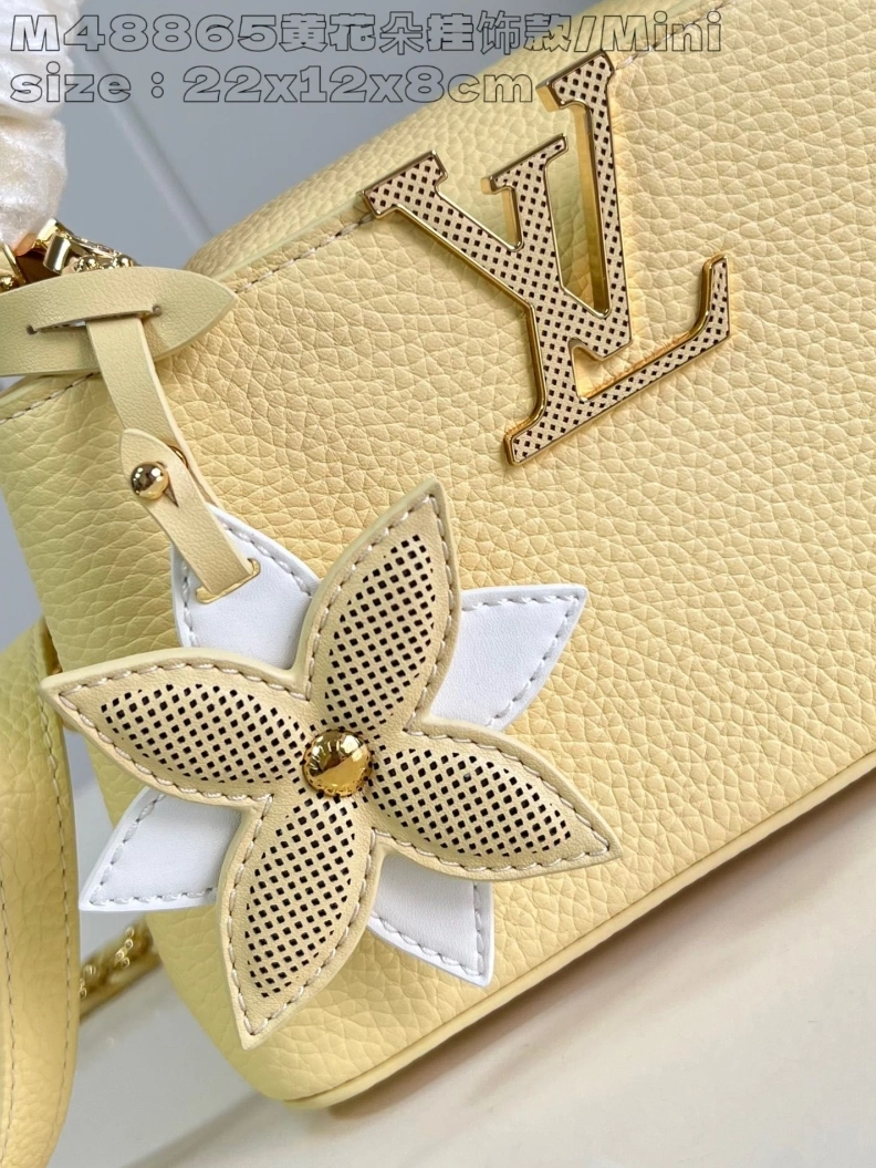 UrbanStyle LX Caxucines Bags 2884