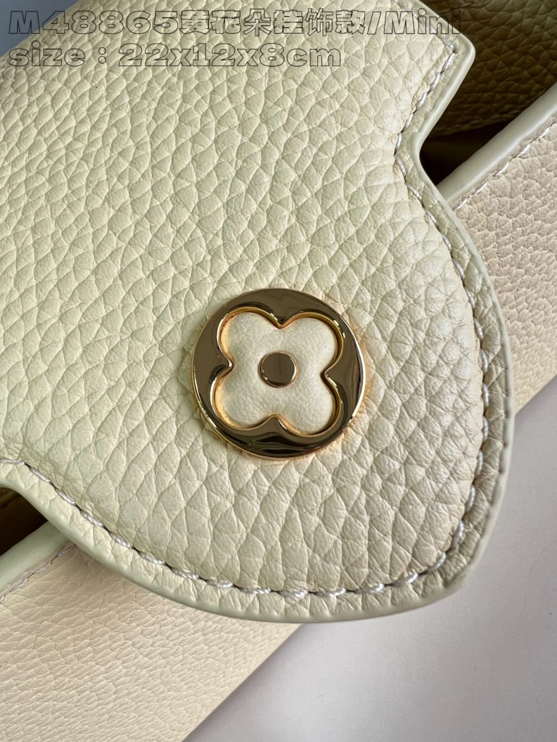 UrbanStyle LX Caxucines Bags 2884