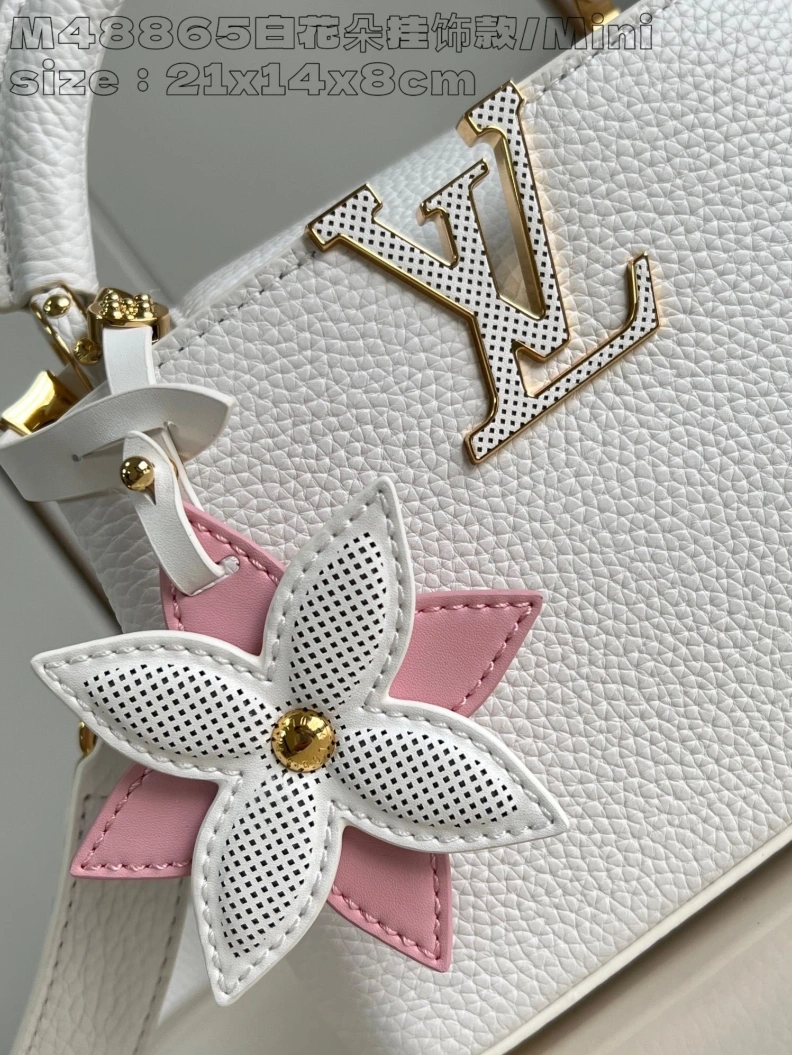 Popular LX Caxucines Bags 2885