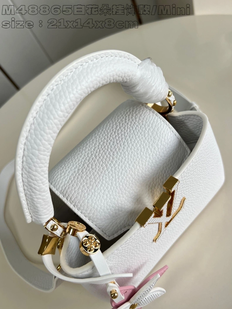 Popular LX Caxucines Bags 2885