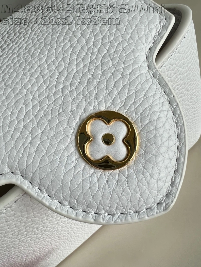 Popular LX Caxucines Bags 2885