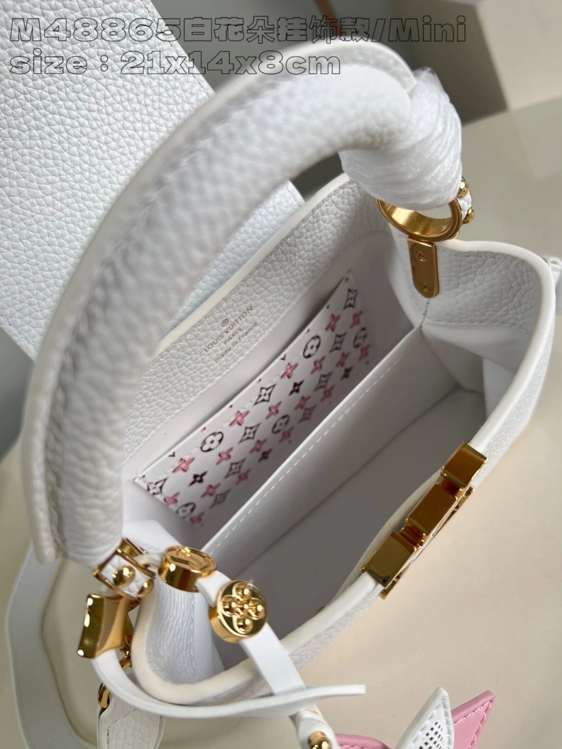 Popular LX Caxucines Bags 2885