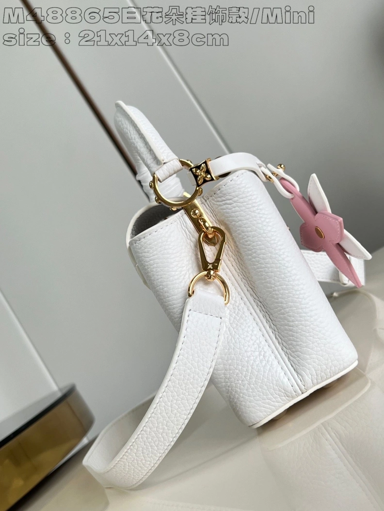 Popular LX Caxucines Bags 2885