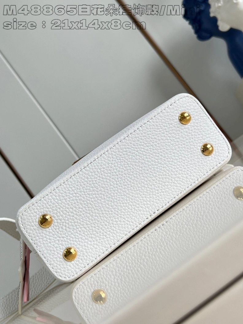 Popular LX Caxucines Bags 2885