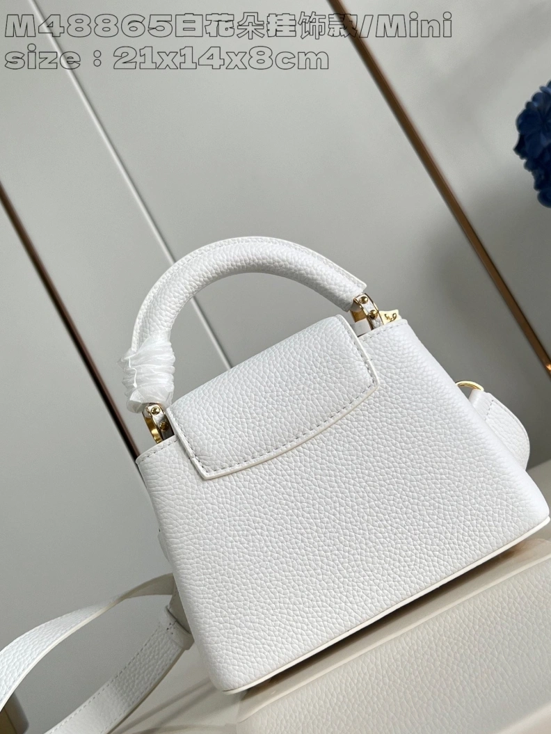 Popular LX Caxucines Bags 2885