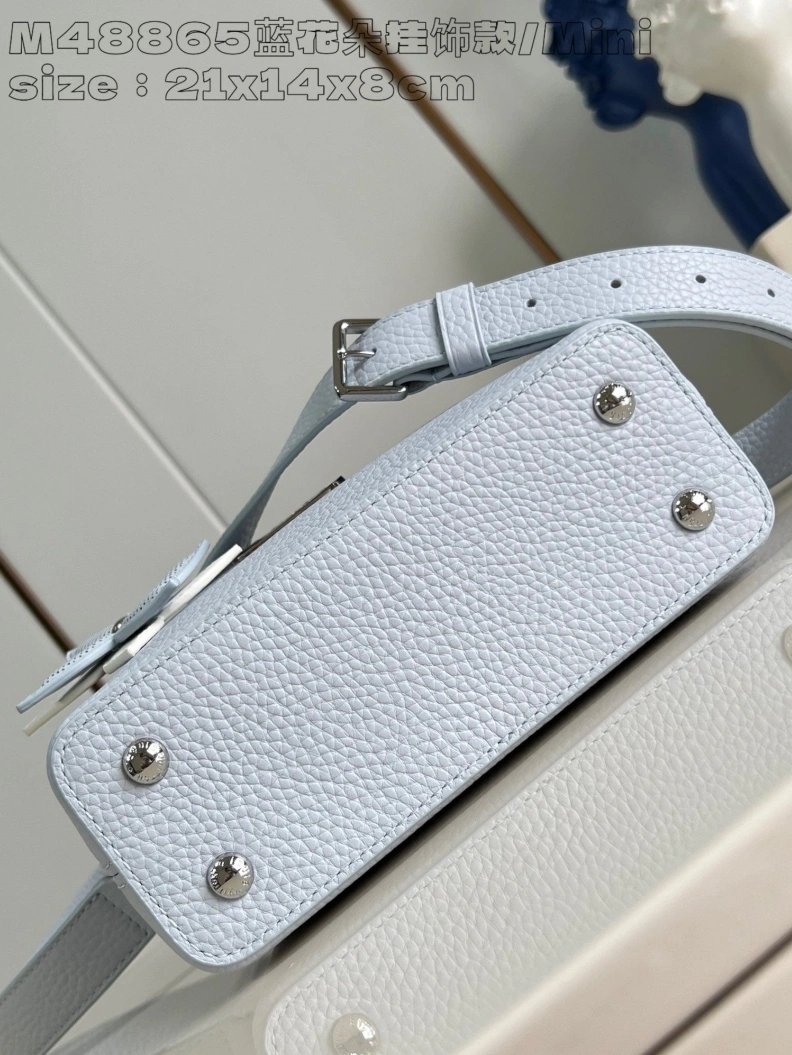 Soft LX Caxucines Bags 2861