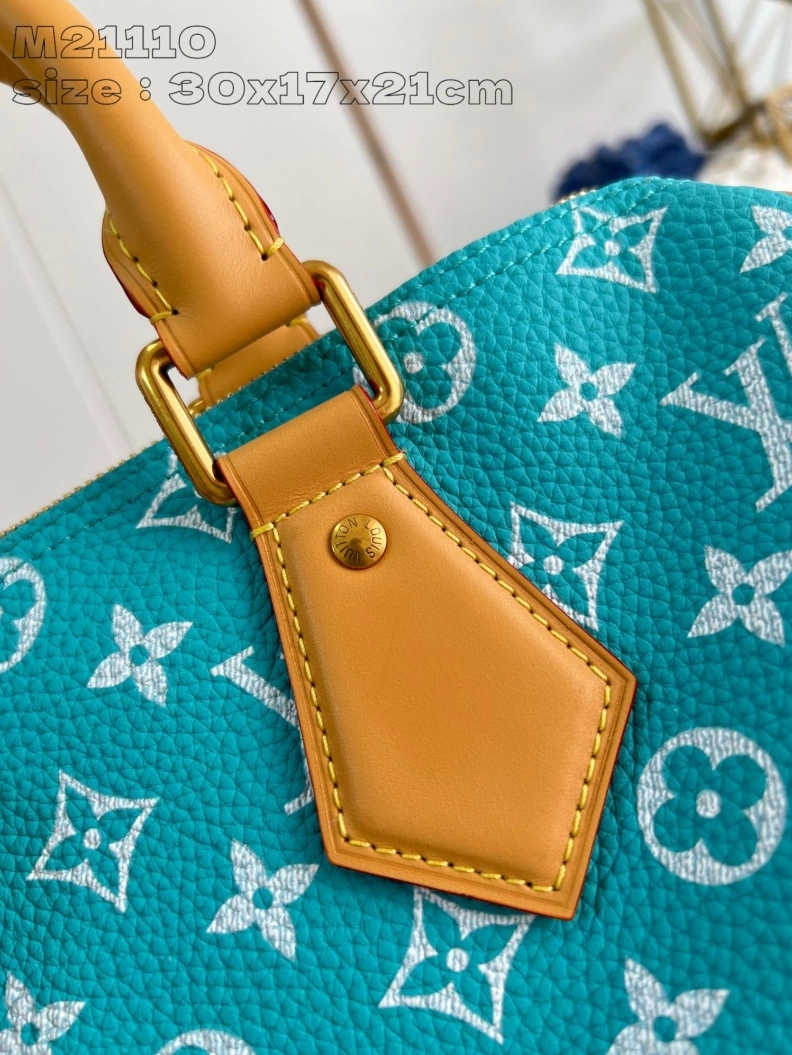 LX Speedy Bags DailyWear 2688