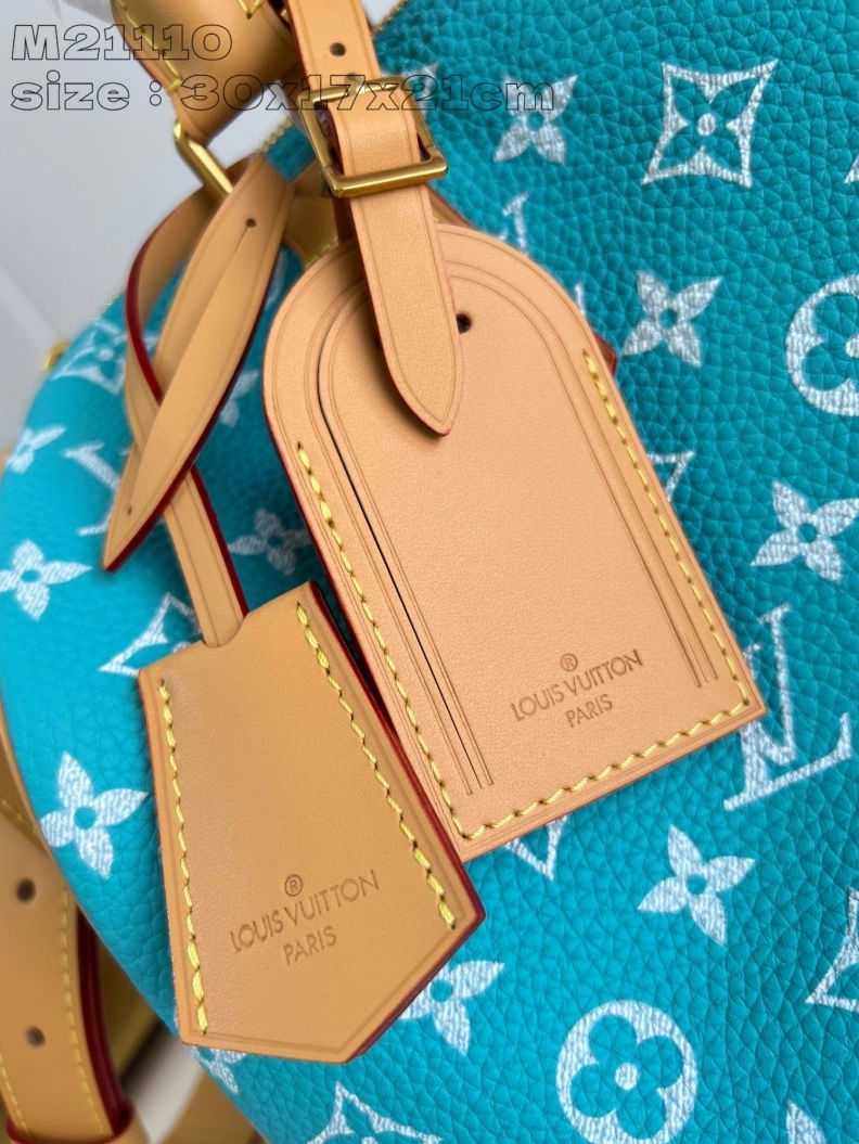 LX Speedy Bags DailyWear 2688
