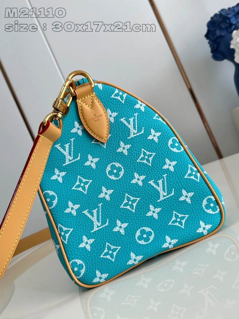 LX Speedy Bags DailyWear 2688