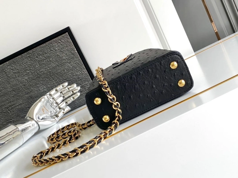 DailyWear LX Caxucines Bags 2089